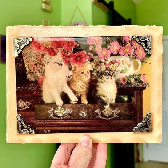 Vintage Kitten Cat Lovers Wood Plaque Wall Hanging Home Decor Art Display - Picture 1 of 9